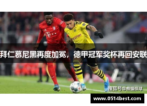 拜仁慕尼黑再度加冕，德甲冠军奖杯再回安联