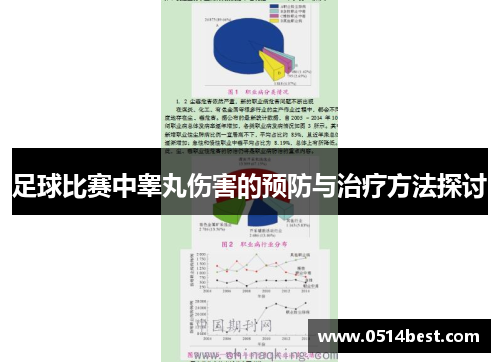 足球比赛中睾丸伤害的预防与治疗方法探讨
