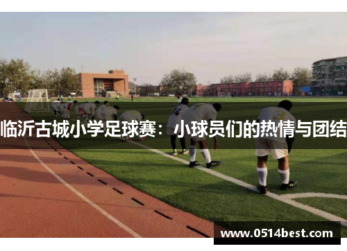临沂古城小学足球赛：小球员们的热情与团结
